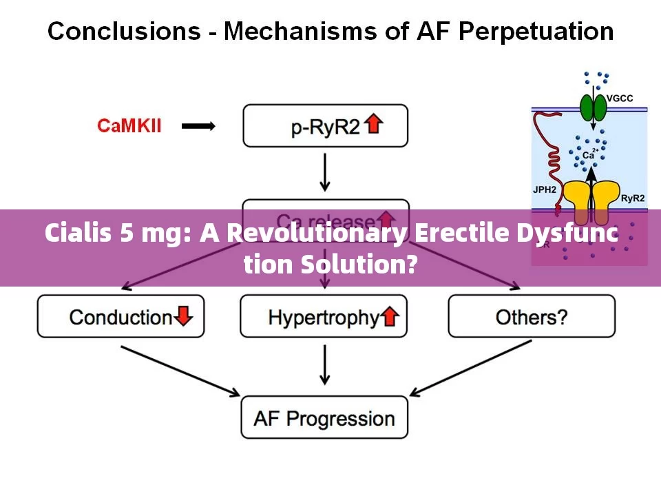 Cialis 5 mg: A Revolutionary Erectile Dysfunction Solution?