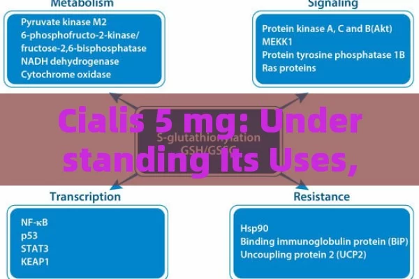 Cialis 5 mg: Understanding Its Uses, Dosage & Effects